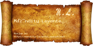 Mándity Levente névjegykártya