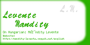 levente mandity business card